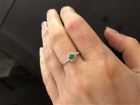 Ring Recarlo Woman Primula in White Gold Smeraldo R33CG244/SM-14 - R33CG244/SM-11